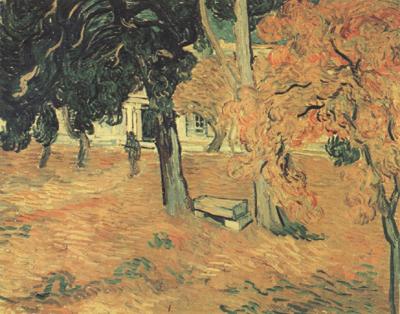 Vincent Van Gogh The Garden of Saint-Paul Hospital (nn04) France oil painting art